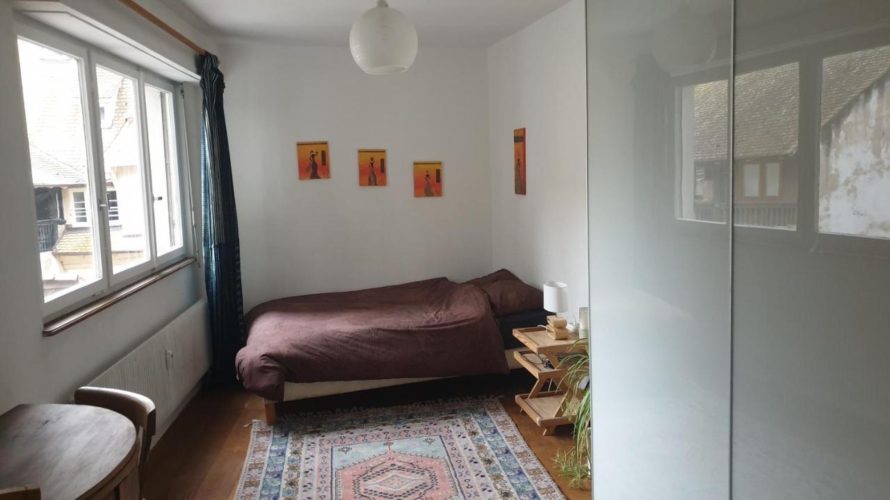 La Puisatiere 80 M2 Διαμέρισμα Στρασβούργο Εξωτερικό φωτογραφία
